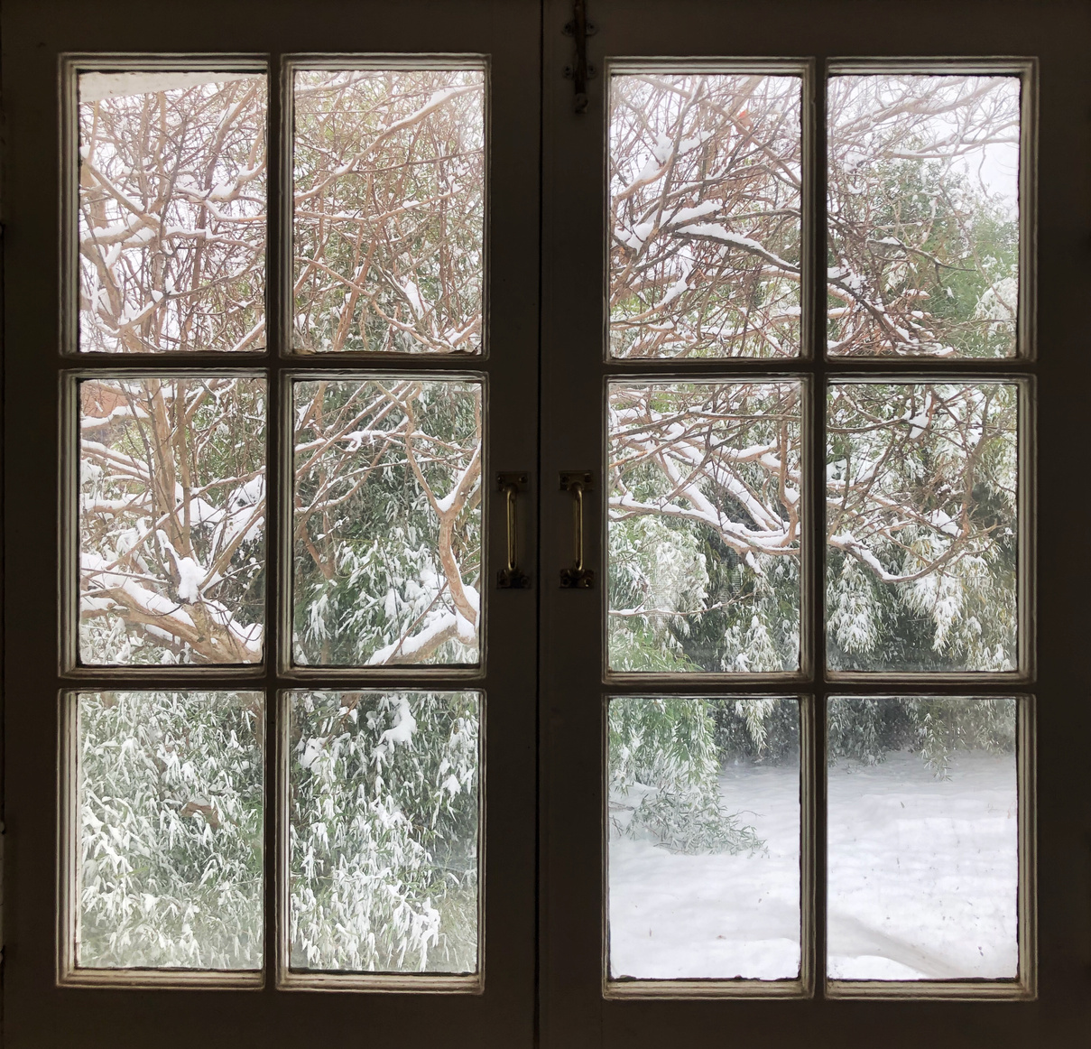 Snowy day window