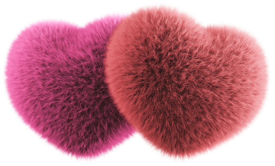 Pink and Red Pair of Fluffy Hearts Valentines Day